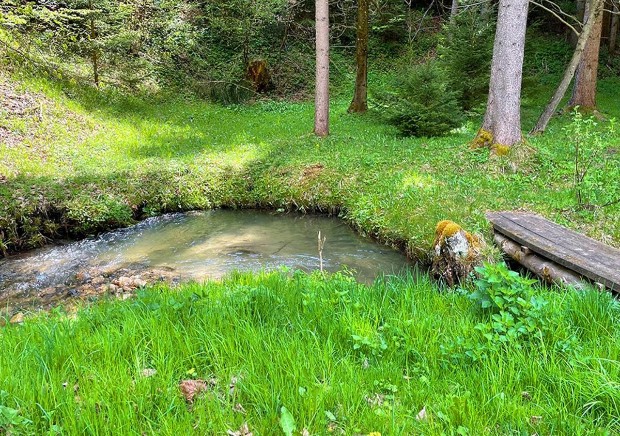 Apartments Fiore Am Naturschwimmbad! Puch  Eksteriør billede